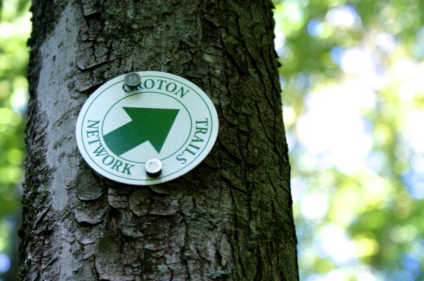 Groton has an extensive well-tended and well-marked trail system.