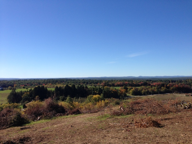 View from the top of Indian Hill, October 2015. The property was purchased, appropriately enough, by the Indian Hill Music Center and is slated to become the site of a music venue.